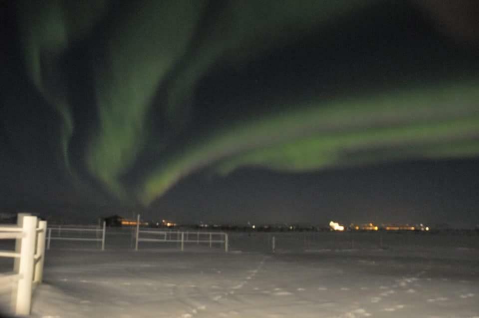 The Coffee House Hostel Selfoss Exterior photo